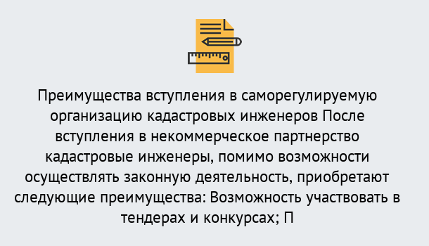 Почему нужно обратиться к нам? Жигулёвск Что дает допуск СРО кадастровых инженеров?