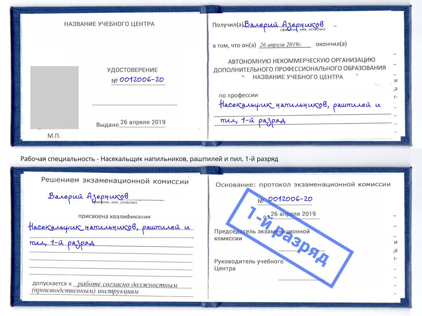 корочка 1-й разряд Насекальщик напильников, рашпилей и пил Жигулёвск